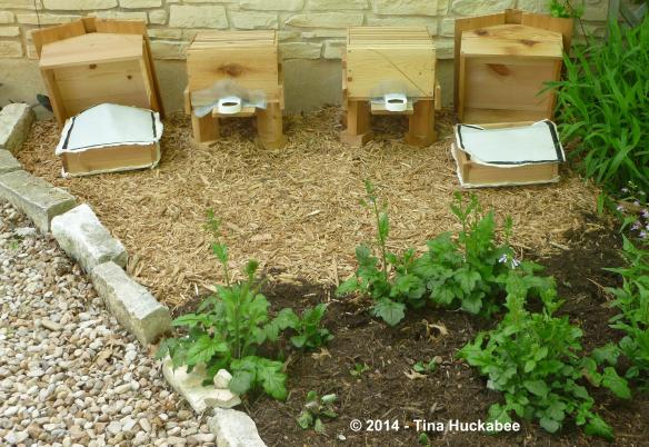 P1030254_cropped_3815x2632..new