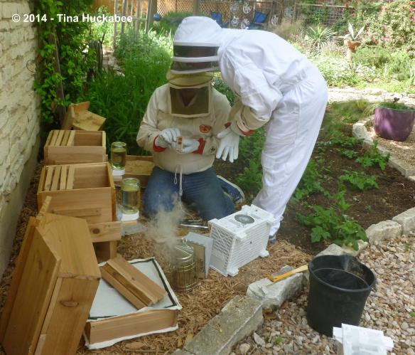 P1030266_cropped_3438x2940..new