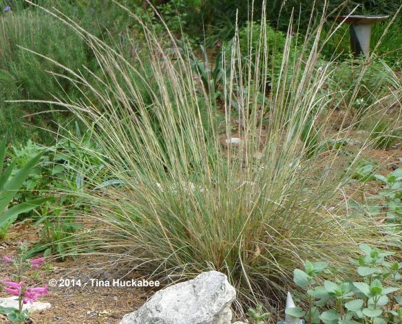 20120314_2_cropped_2221x1793..new