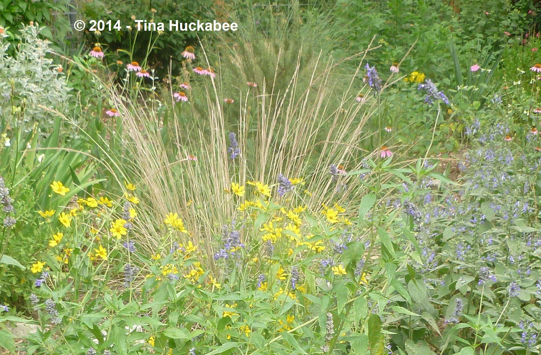 20120502_6_cropped_1724x1133..new