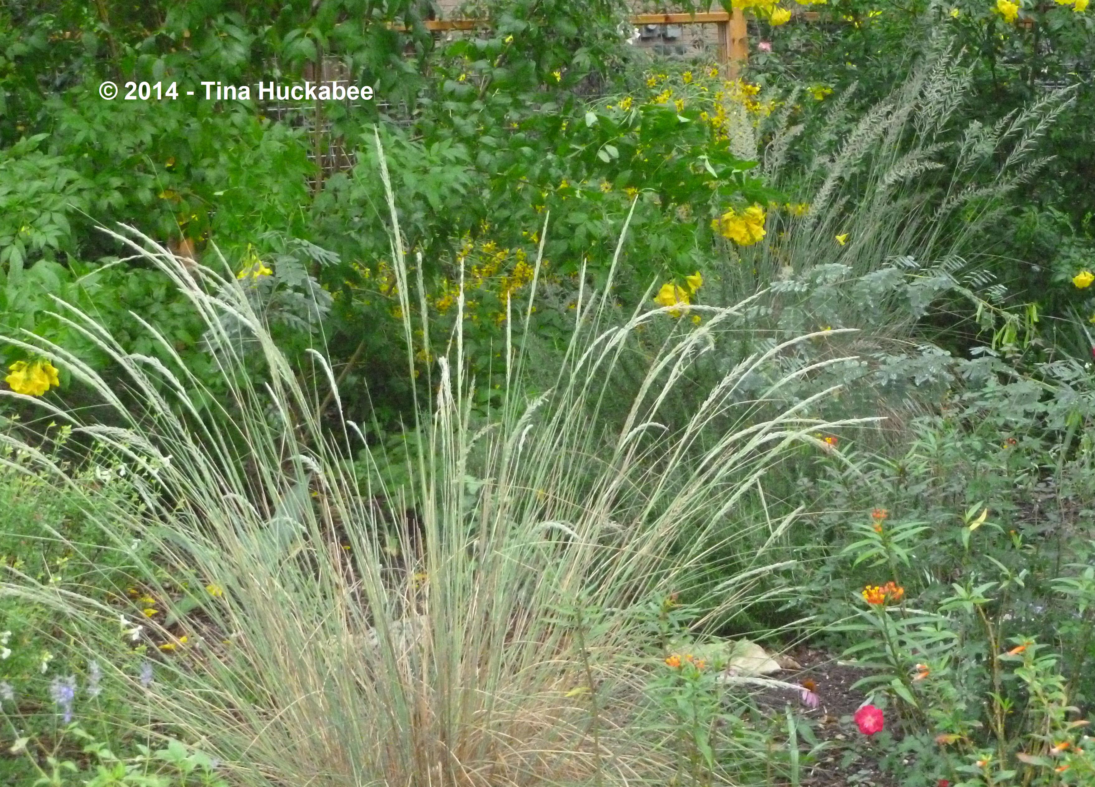 20121013_38_cropped_3516x2525..new