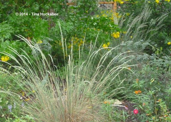 20121013_38_cropped_3516x2525..new