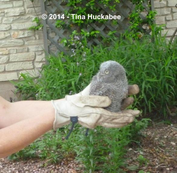 P1020481_cropped_2235x2184..new