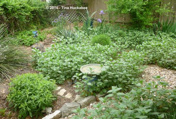 P1030148_cropped_4235x2875..new