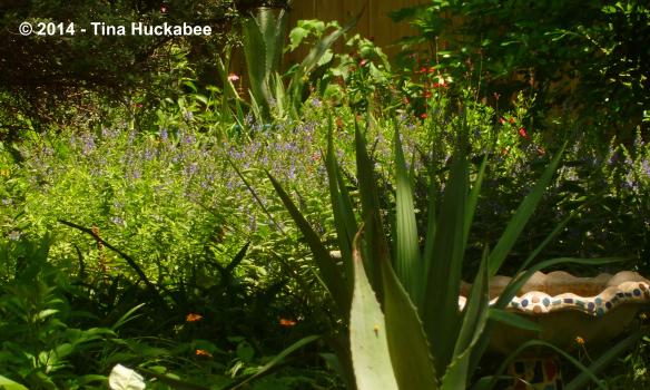 P1040502_cropped_3371x2024..new