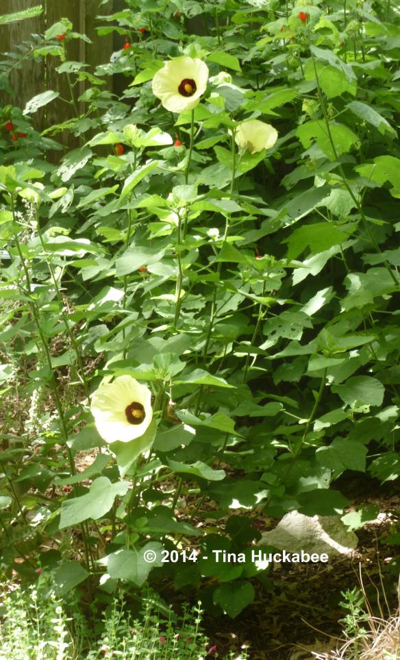 P1050528_cropped_2160x3565..new