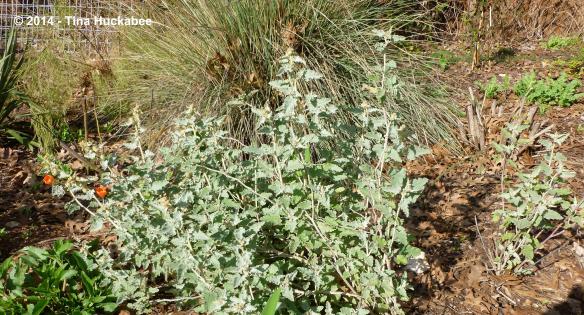 20120221_5_cropped_4221x2277..new