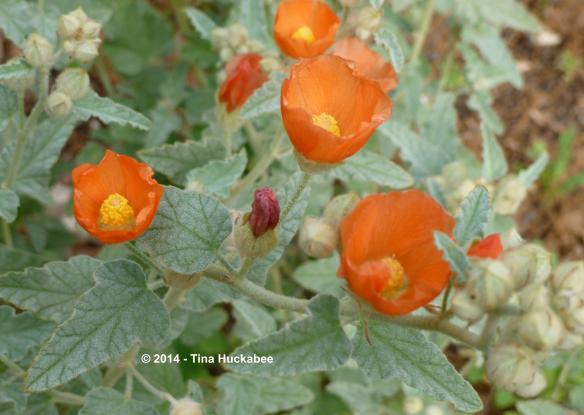 20120319_3_cropped_4424x3147..new