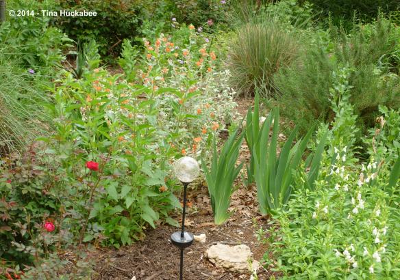 20120327_23_cropped_4534x3188..new