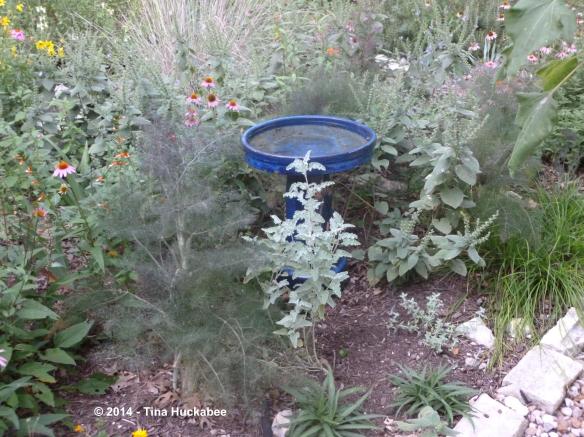 20120528_4_cropped_4405x3299..new