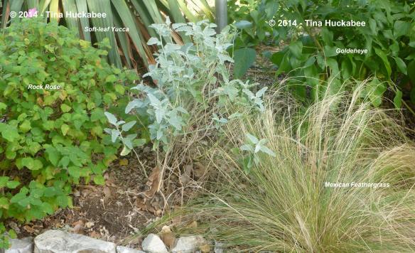 P1060773_cropped_4285x2617..new.new