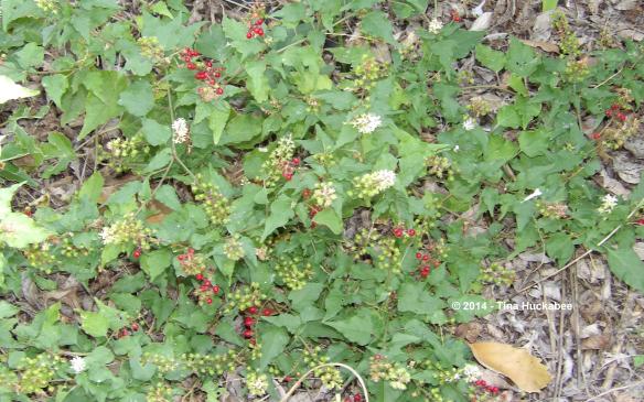 IMGP1308_cropped_3834x2401..new