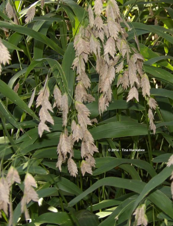 IMGP1319_cropped_2534x3323..new