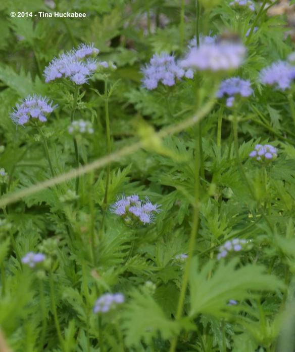 IMGP1772_cropped_2797x3331..new