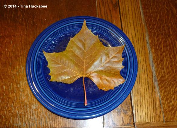 20111231_7_cropped_4401x3184..new