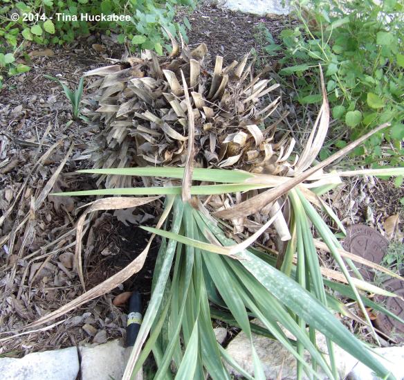 IMGP1752_cropped_3622x3410..new