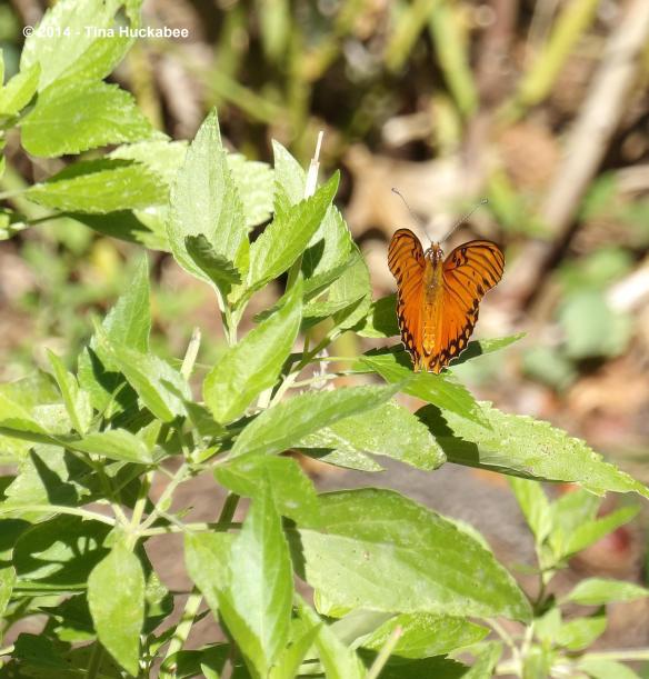 IMGP2473_cropped_2806x2940..new