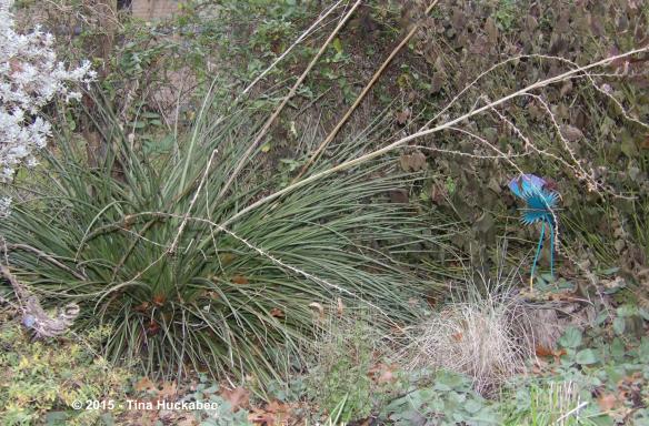 IMGP4709_cropped_4432x2921..new