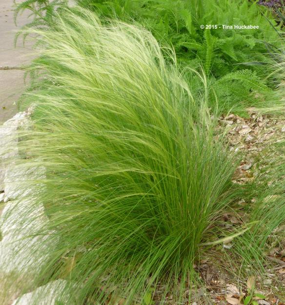 20120327_30_cropped_2612x2801..new