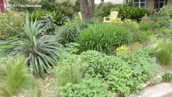 IMGP7274_cropped_4506x2553..new