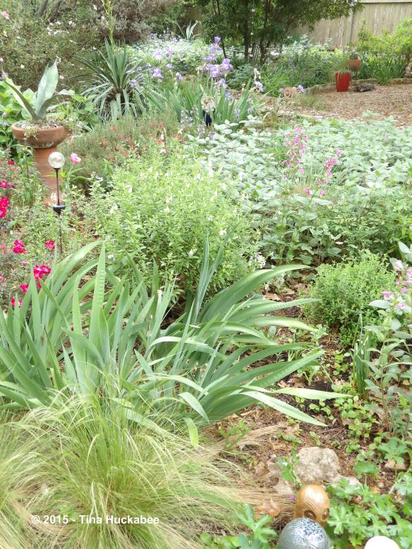 LongShotToAzurePot.new