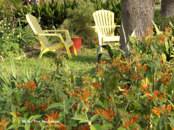 YellowChairsMexicanHoneysuckle.new