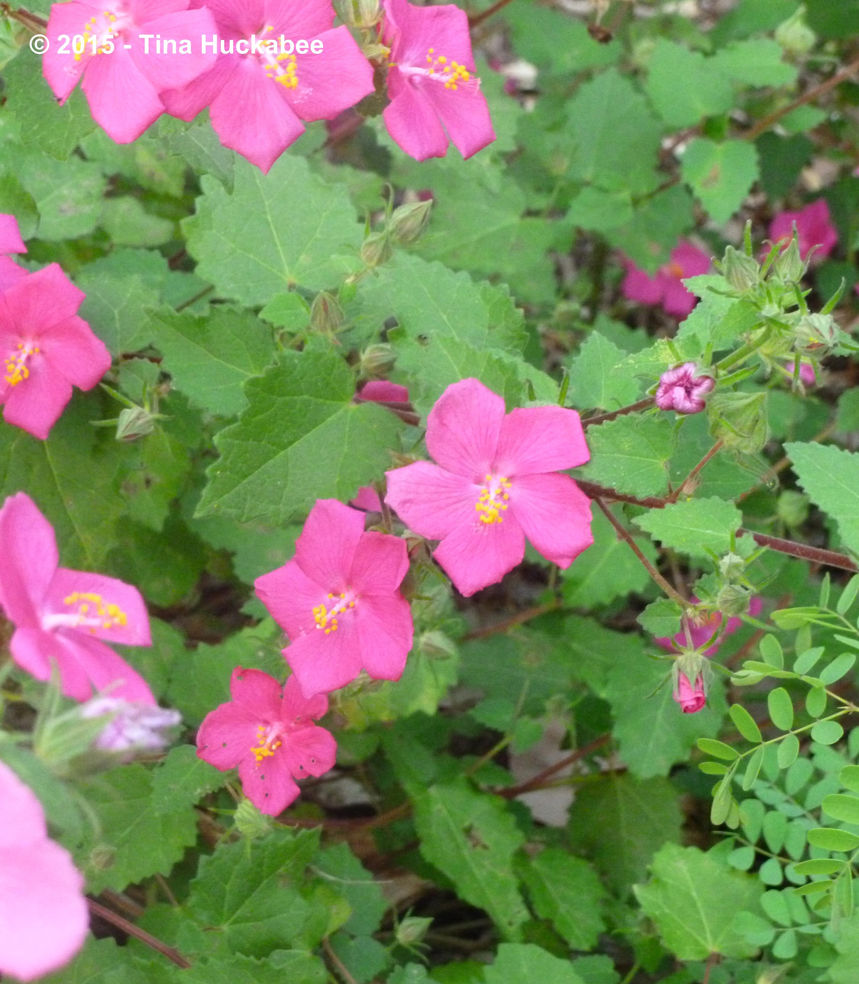 20120609_4_cropped_2903x3327..new