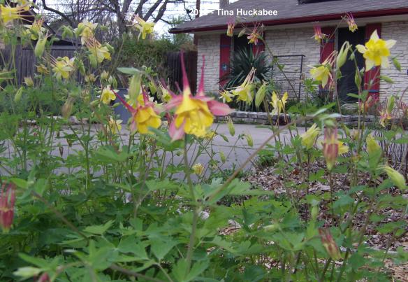 IMGP6540_cropped_4479x3092..new