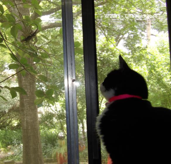 IMGP8327_cropped_3240x3115..new