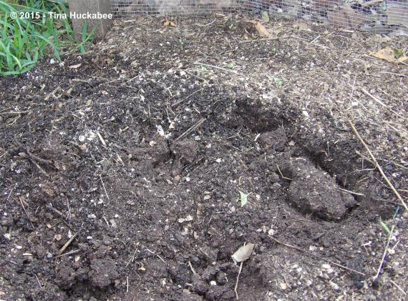 IMGP8285_cropped_3968x2940..new