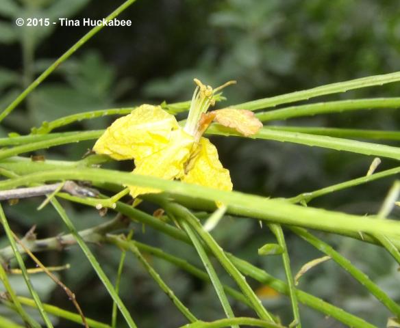 IMGP8491_cropped_2479x2041..new