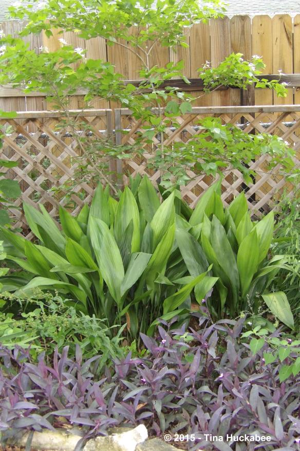 IMGP9061_cropped_3008x4522..new