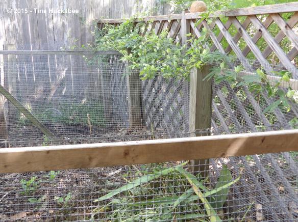 IMGP9173_cropped_4143x3096..new