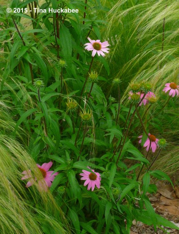 P1030700_cropped_2670x3488..new