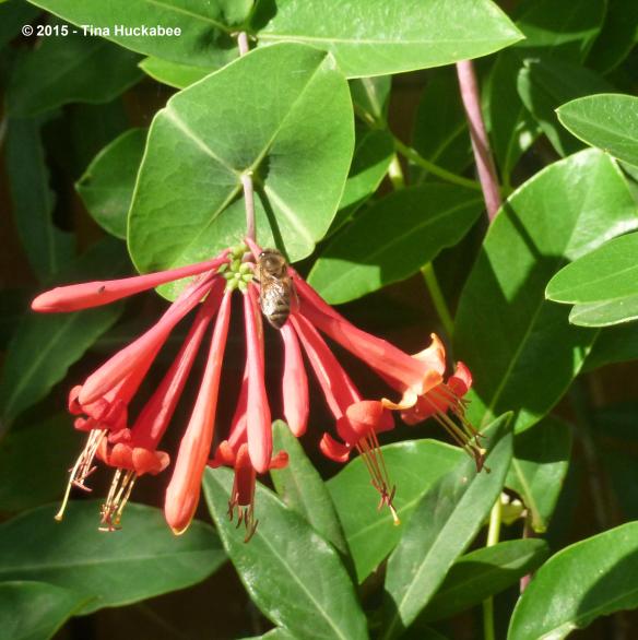 P1030547_cropped_2871x2885..new