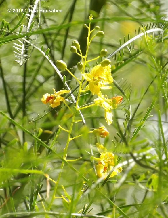 IMGP0329_cropped_2198x2838..new