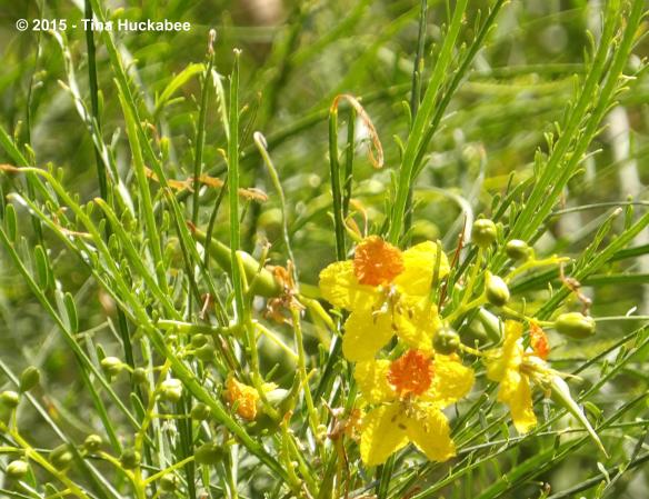 IMGP0332_cropped_3991x3074..new