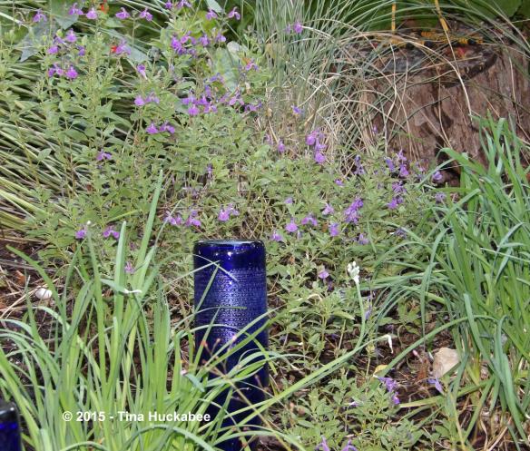 IMGP1677_cropped_3839x3268..new