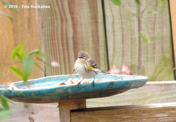 IMGP3496_cropped_4134x2881..new