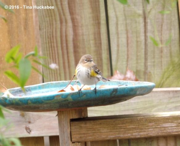 IMGP3498_cropped_3893x3166..new