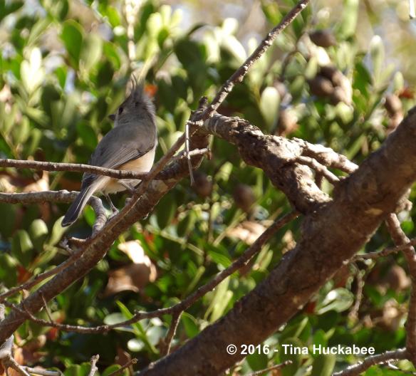 IMGP3542_cropped_2787x2521..new