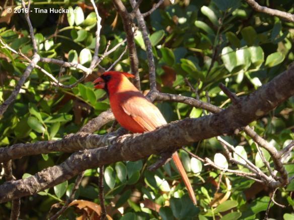 IMGP3613_cropped_4276x3203..new