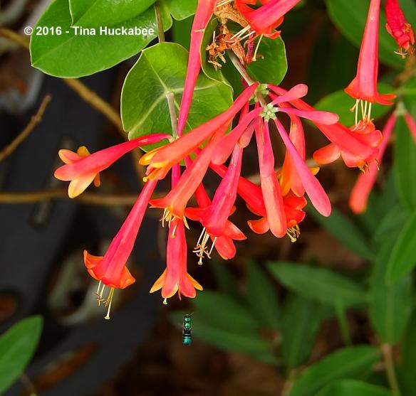 M0035619_cropped_1719x1641..new