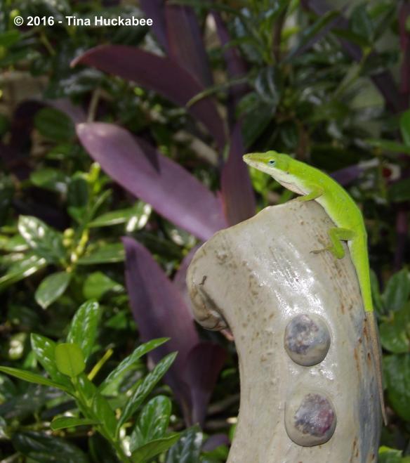 IMGP8733_cropped_2932x3309..new