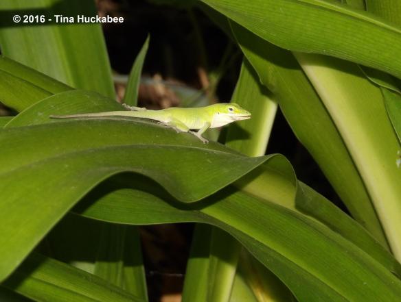 imgp0092_cropped_3041x2299-new